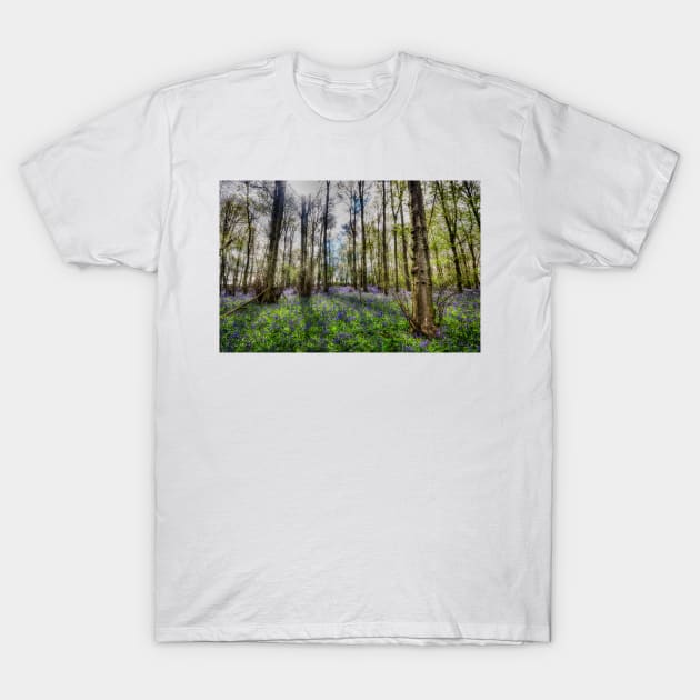 Bluebell Wood T-Shirt by Nigdaw